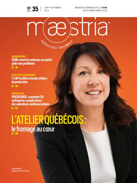Maestria n°35